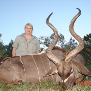 Rene's KUDU