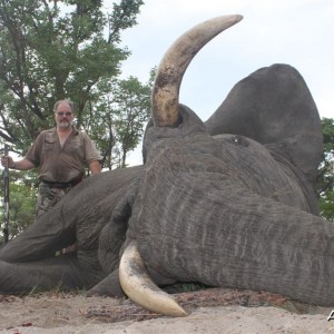 71 lbs Elephant hunted in the Kavango Namibia