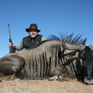 Blue Wildebeest Namibia