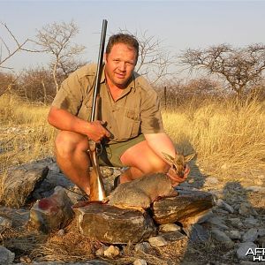 Damara Dik-Dik Namibia