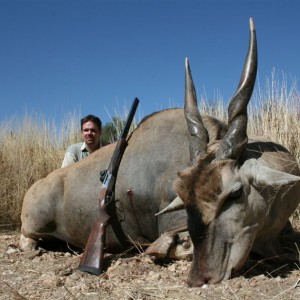 Cape Eland Namibia