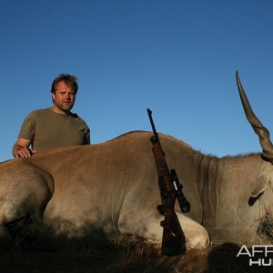 Cape Eland Namibia