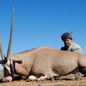 Gemsbok Namibia