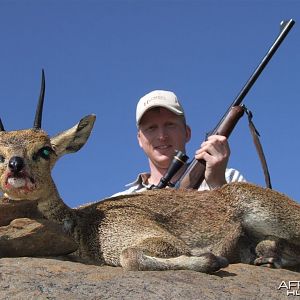 Klipspringer Namibia