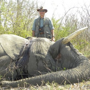 Typical own use or non trophy Elephant Nambia