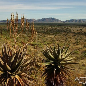 View of central Namibia area