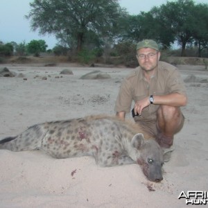 Spotted Hyena