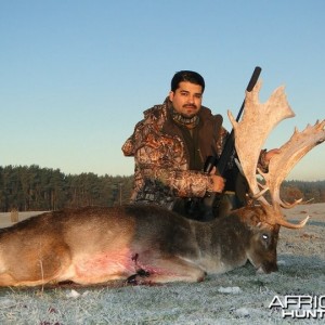 Fallow buck taken in England