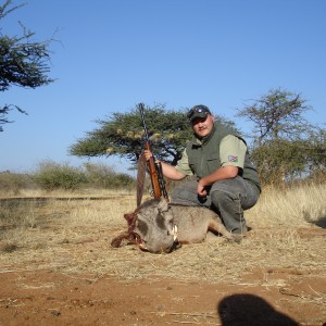 Warthog Namibia hunting 2008