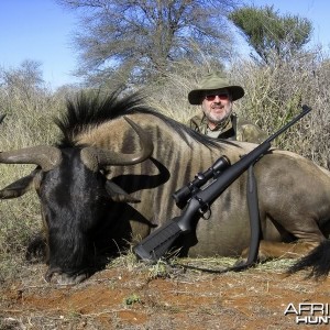 Blue Wildebeest