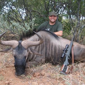 2011 Zimbabwe Wildebeest