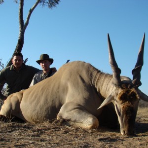 Hunting Eland