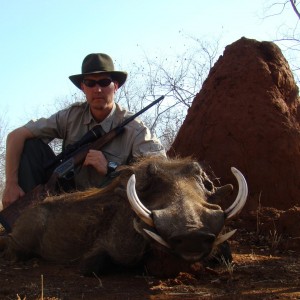 Hunting Warthog