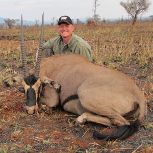 Fringe-eared Oryx