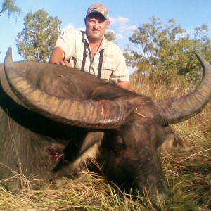 Water Buffalo