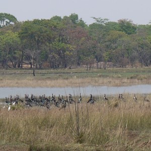 takeri private reserve