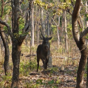 takeri private reserve