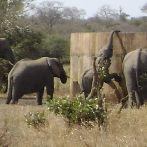 Looking for fresh water