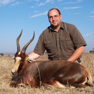 Blesbok