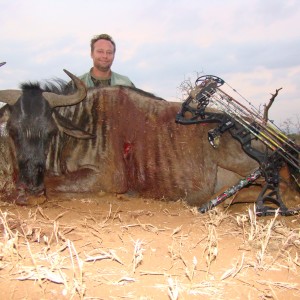 Wildebeest Leeukop Safaris