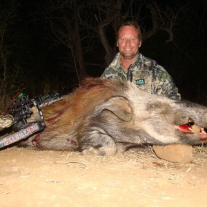 Bushpig Leeukop Safaris