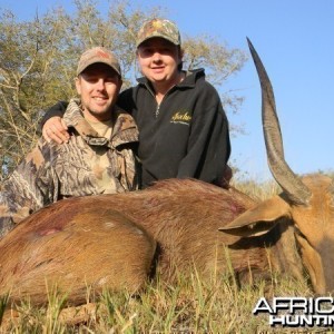 Bushbuck