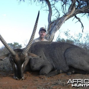 Waterbuck