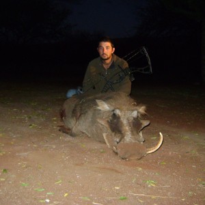 Warthog