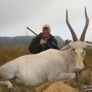 White Blesbok