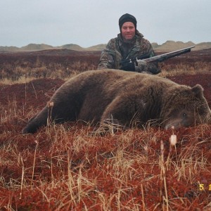 Alaska Brown Bear