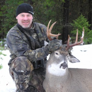 Montana Whitetail