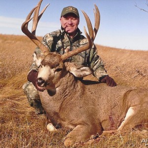 Alberta Canada Mule Deer