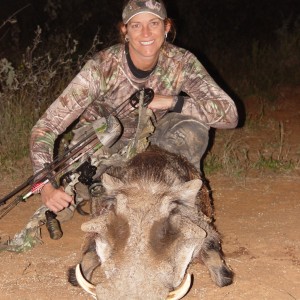 Lisa's Warthog at Limcroma Safaris