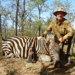 Zebra hunted in Limpopo SA