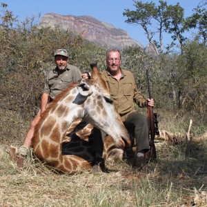 Giraffe hunted in Limpopo SA