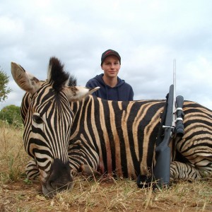 Zebra hunted in Limpopo SA