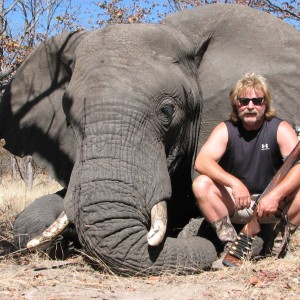 Festival Bull Elephant Namibia 2008