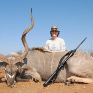 Kudu Bull