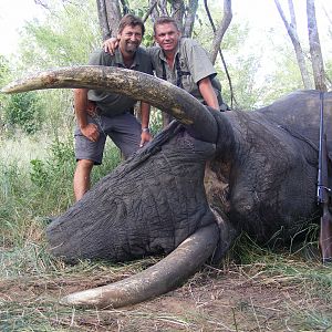 2011 elephant hunt Zimbabwe