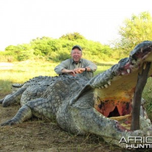 CROCODILE 2011