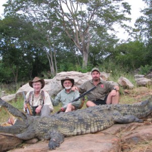 CROCODILE 2011