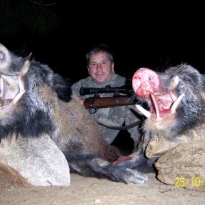 BOARS TURKEY 2007