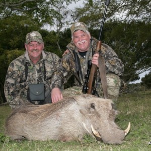 Warthog hunted with KMG Hunting Safaris in the Eastern Cape