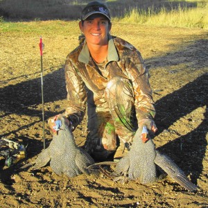 Guineafowl with Limcroma Safaris