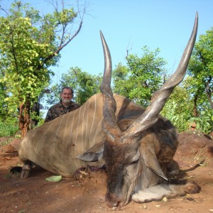 Eland bowhunted in CAR with Central African Wildlife Adventures