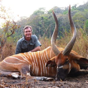 Bongo hunted in CAR with CAWA