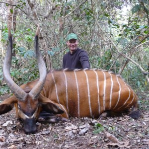 Bongo hunted in CAR with CAWA