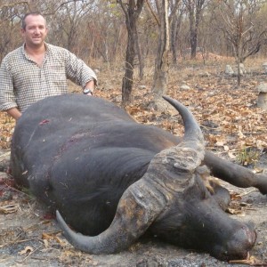 Buffalo hunted in Central African Republic with CAWA