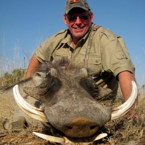 Warthog hunted with Cruiser Safaris