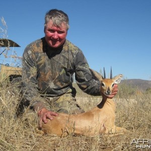 Steenbok Namibia